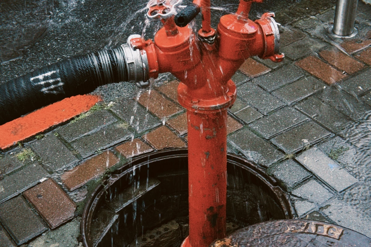 Water Extraction service in Sandy Springs, GA